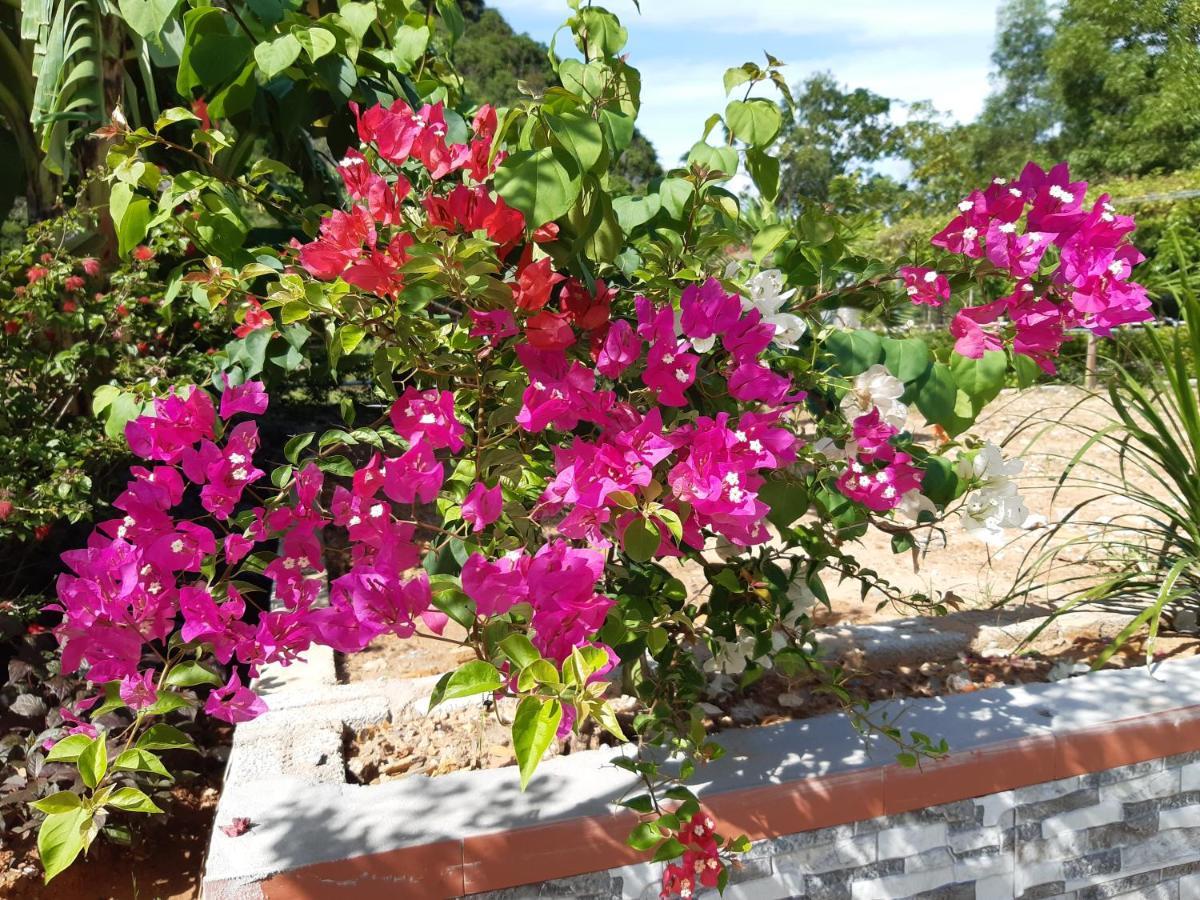 Phong Nha Bolero Bungalow 외부 사진