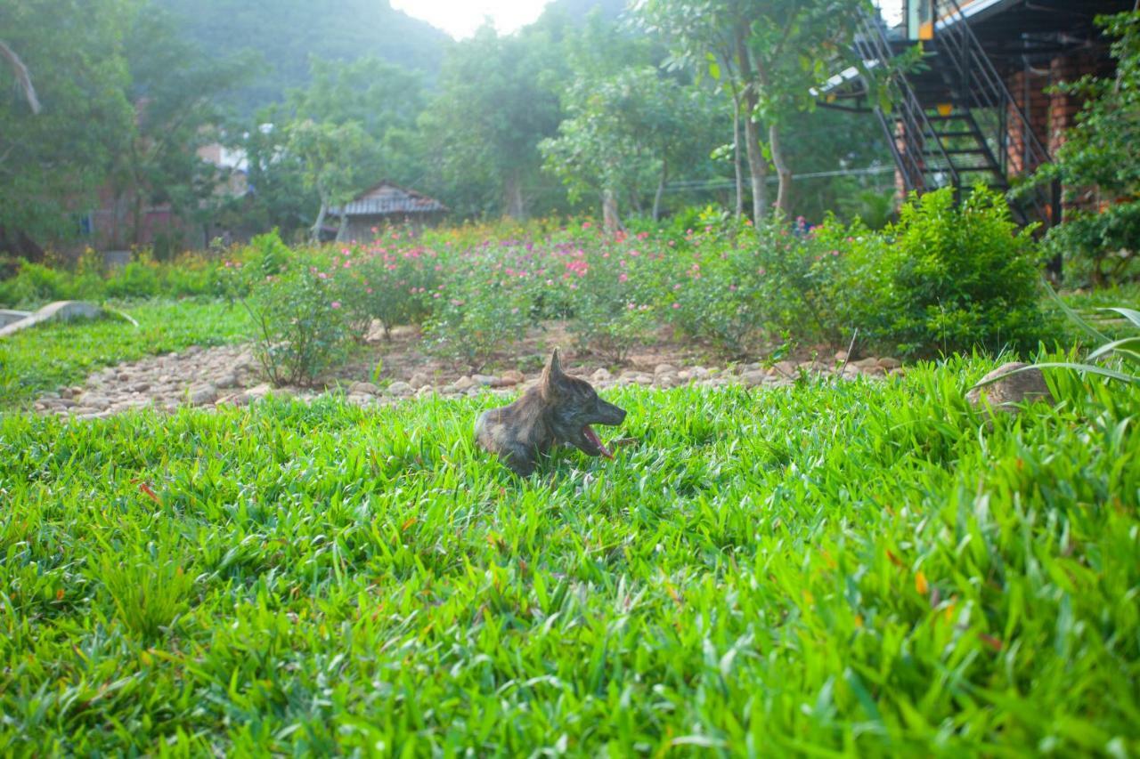 Phong Nha Bolero Bungalow 객실 사진